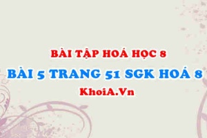 Bài 5 trang 51 SGK Hoá 8: Phản ứng hoá học